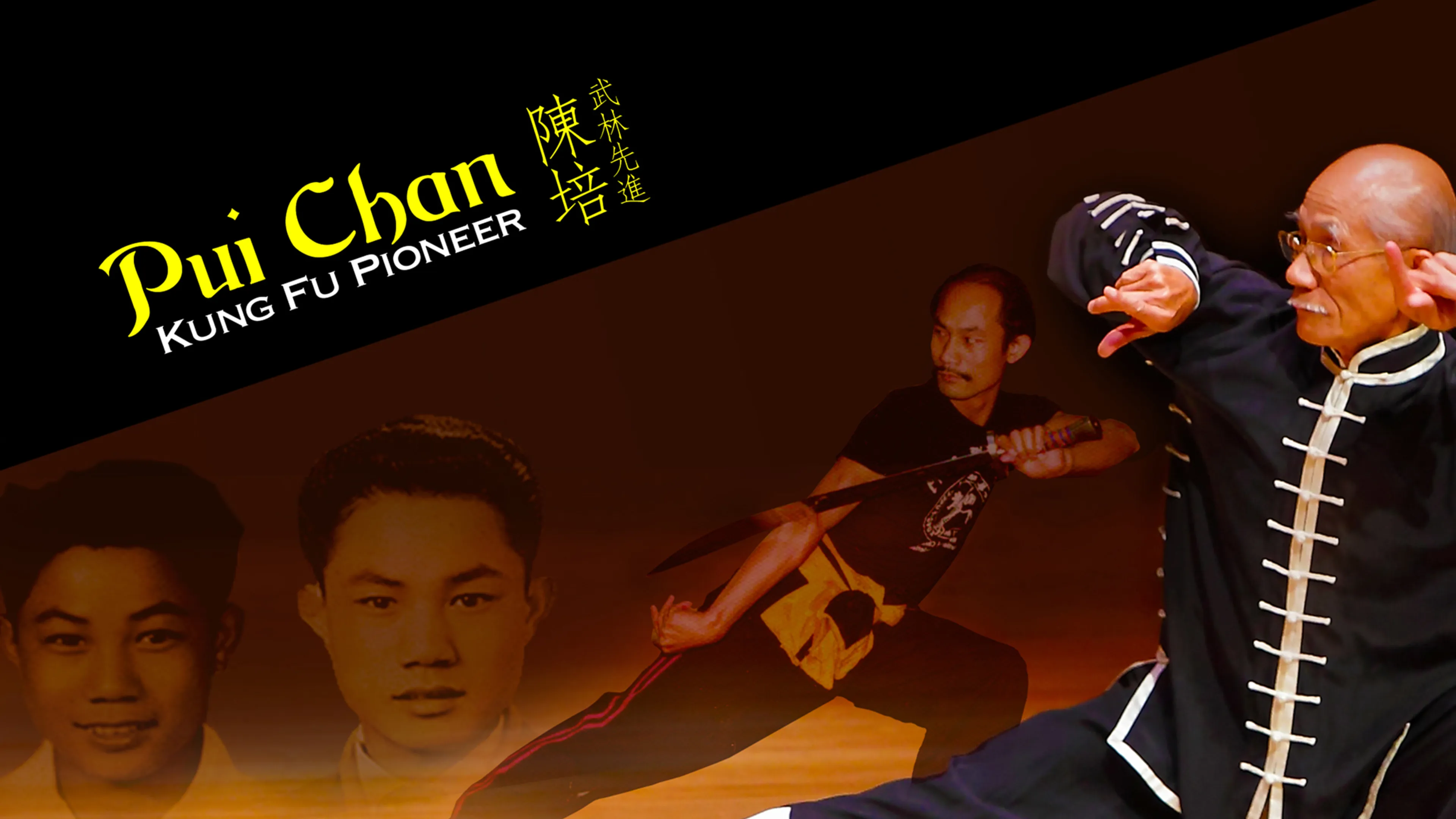 Pui Chan: Kung Fu Pioneer poster